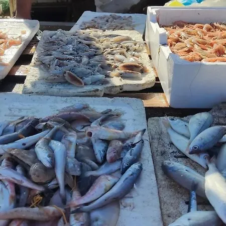 Appartamento Porto Marina Va1