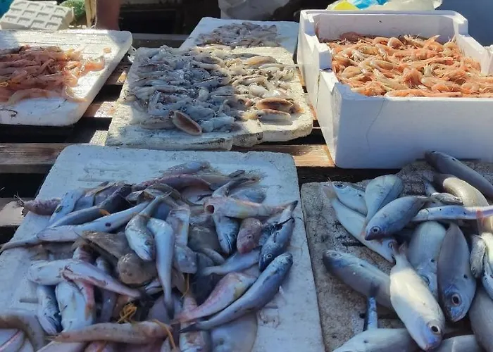 شقة Porto Marina Va1